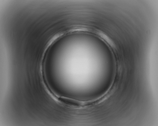 X0000114561282200910191424