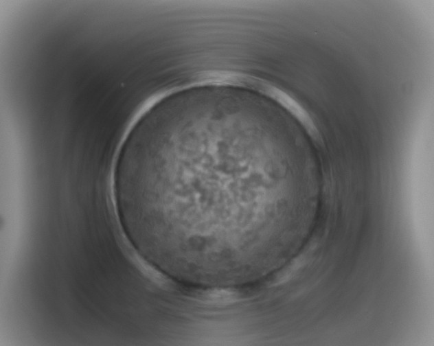 X0000114561283200910191424