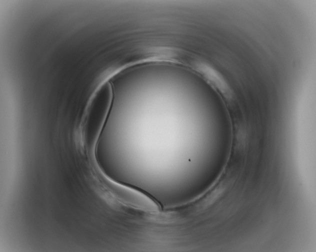 X0000114561284200910191424