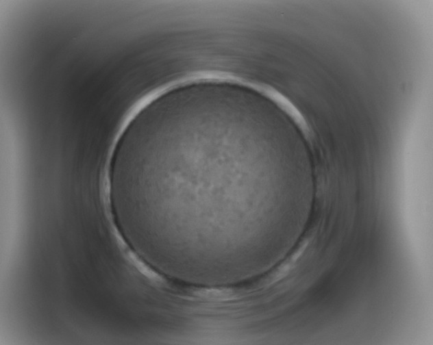 X0000114561287200910191424
