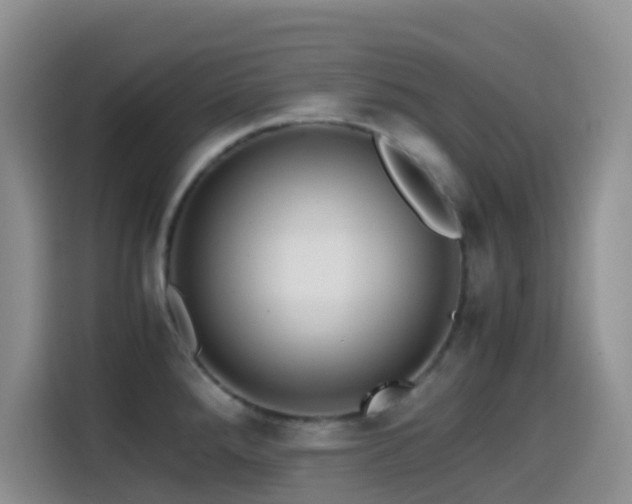 X0000114561288200910191424