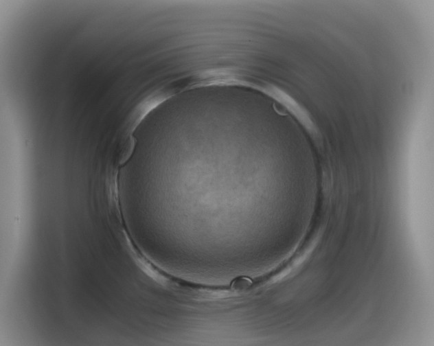 X0000114561289200910191424