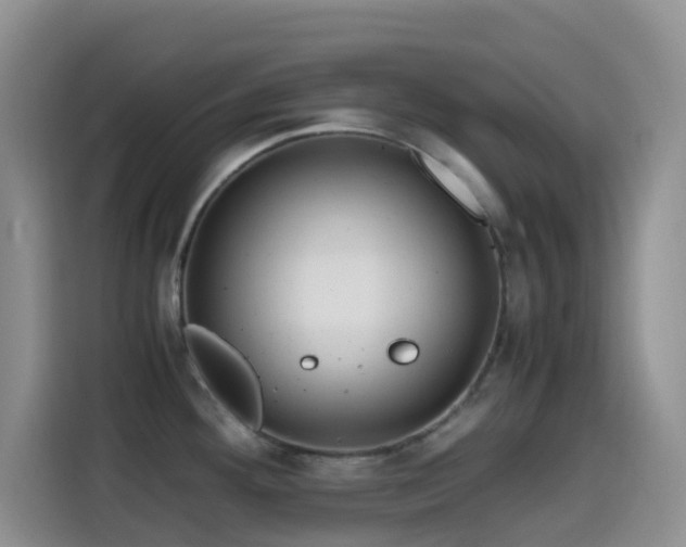X0000114561292200910191424