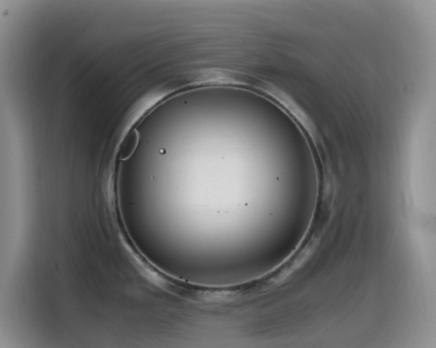 X0000114561293200910191424