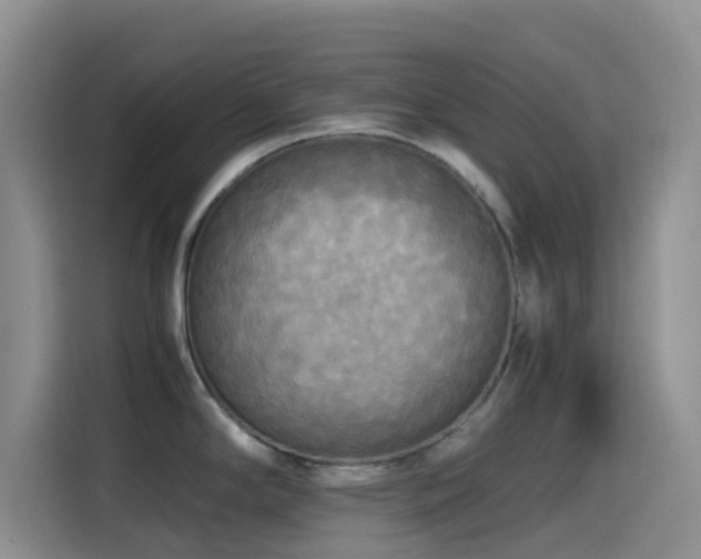 X0000114561294200910191424