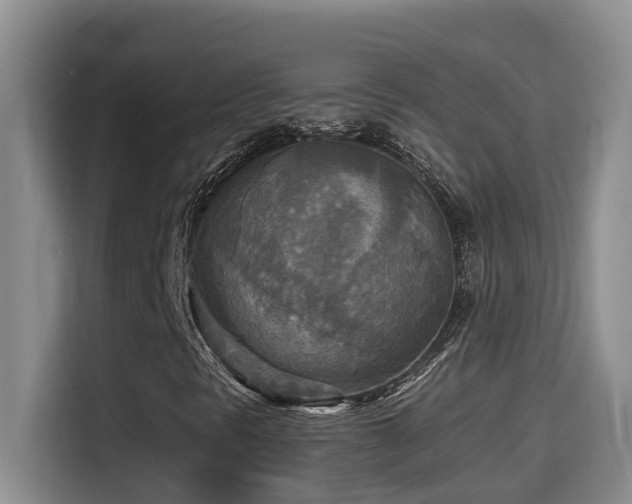 X0000114561297200910191423