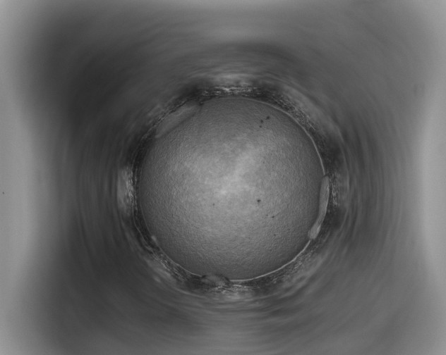 X0000114561298200910191423