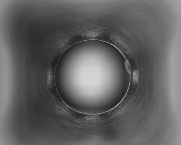 X0000114561299200910191423
