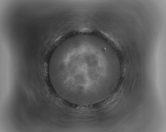 X0000114561301200910191423