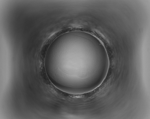 X0000114561303200910191423