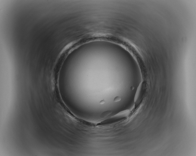 X0000114561306200910191423