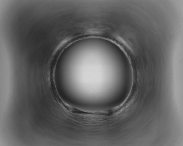 X0000114561307200910191423