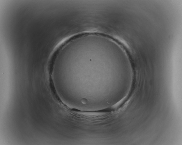 X0000114561311200910191423