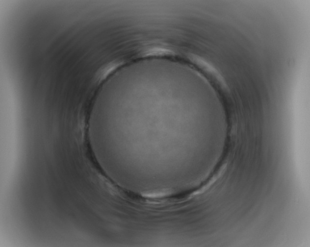 X0000114561313200910191423