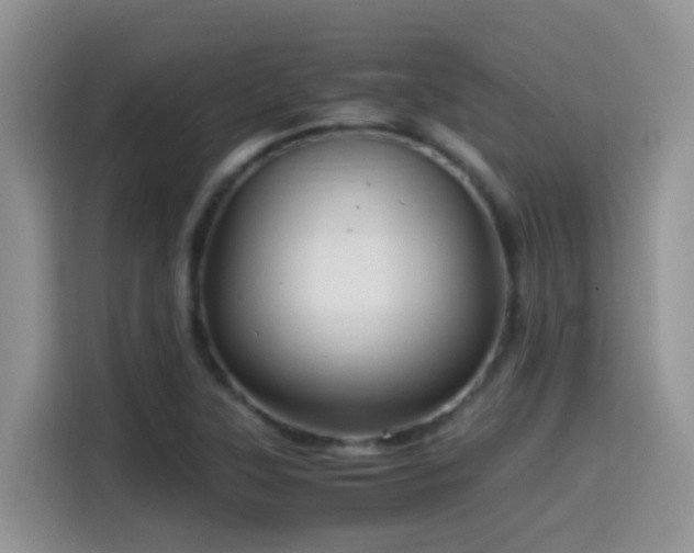 X0000114561315200910191423