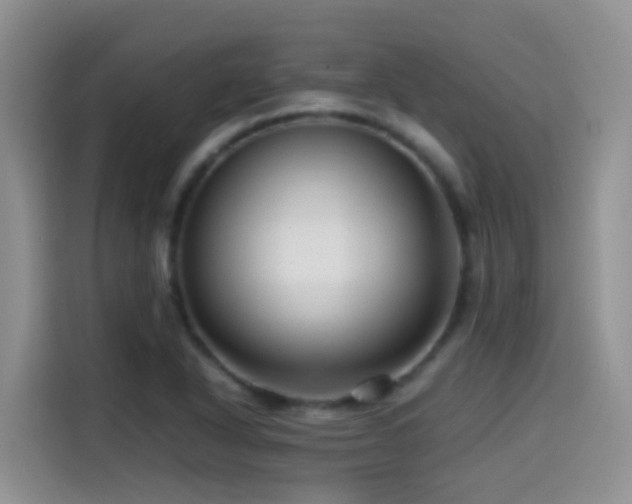 X0000114561318200910191423