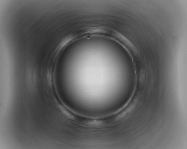 X0000114561321200910191423