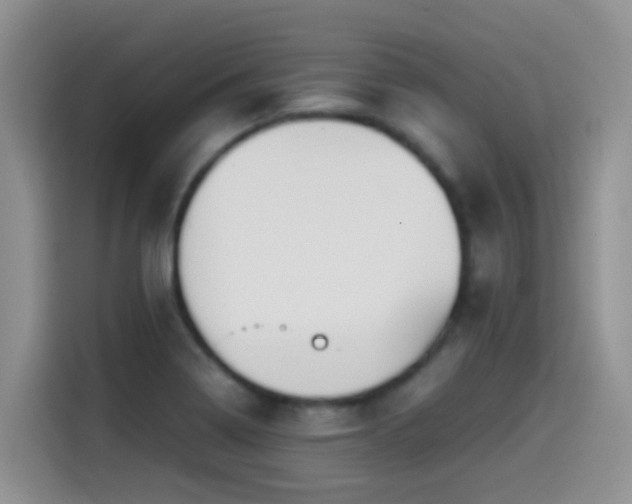 X0000114561322200910191423