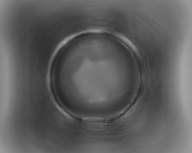 X0000114561327200910191423