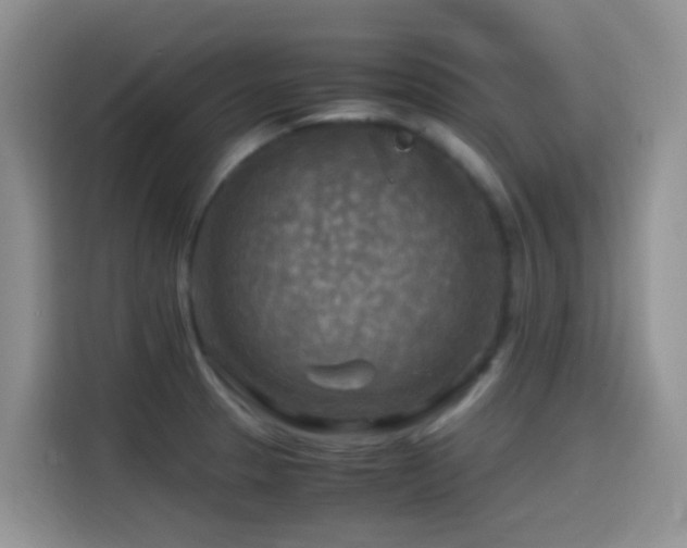 X0000114561329200910191424