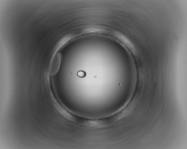 X0000114561330200910191424