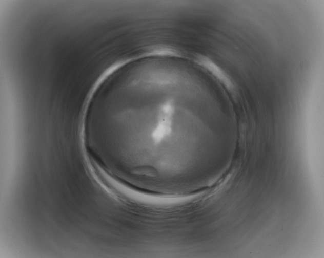 X0000114561331200910191424