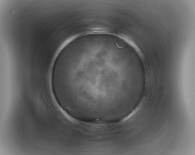 X0000114561333200910191424