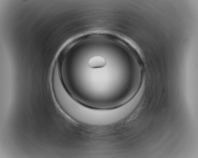 X0000114561334200910191424