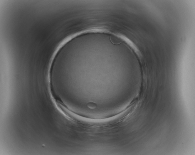 X0000114561335200910191424