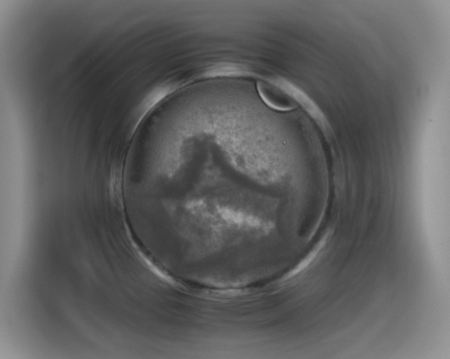 X0000114561337200910191424