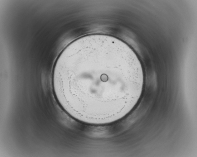 X0000114561338200910191424