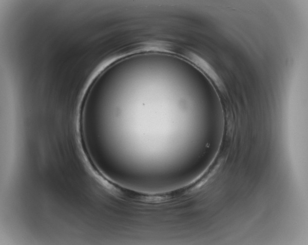 X0000114561339200910191424