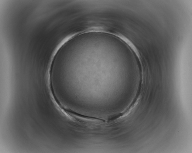 X0000114561341200910191424
