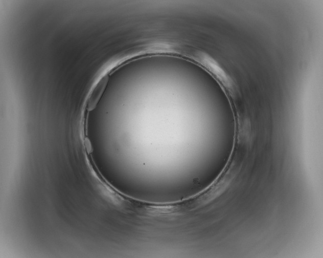 X0000114561342200910191424