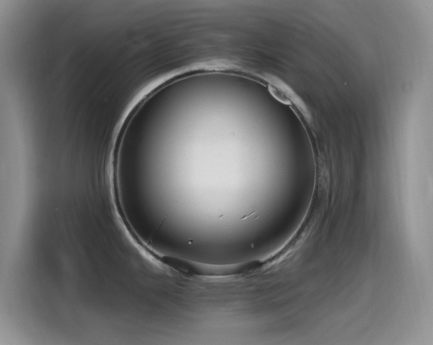 X0000114561343200910191424