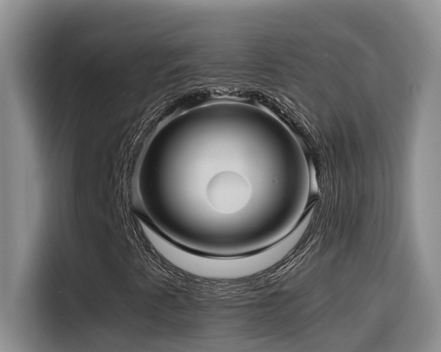 X0000114561345200910191423