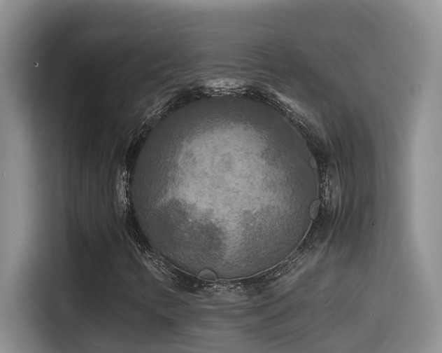 X0000114561346200910191423