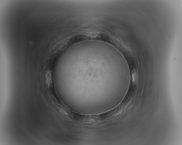X0000114561347200910191423