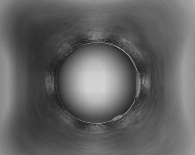 X0000114561348200910191423