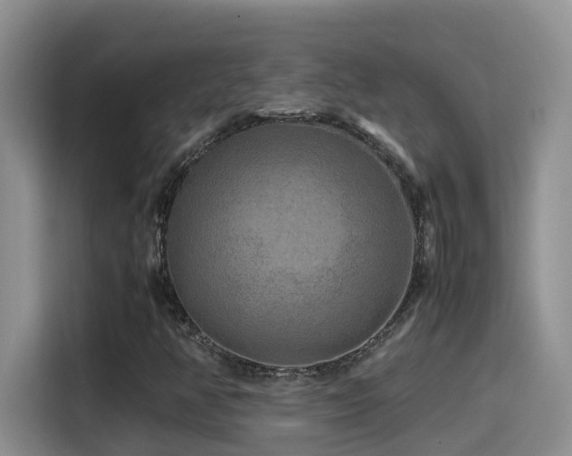 X0000114561350200910191423