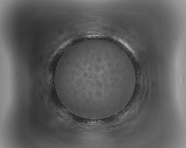X0000114561351200910191423
