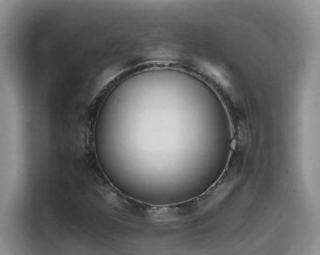 X0000114561352200910191423