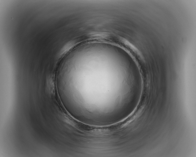 X0000114561354200910191423