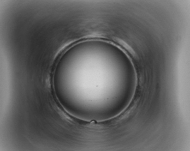 X0000114561356200910191423