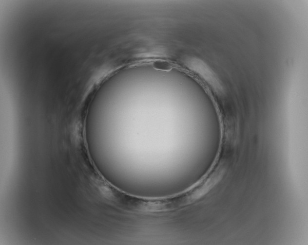 X0000114561357200910191423