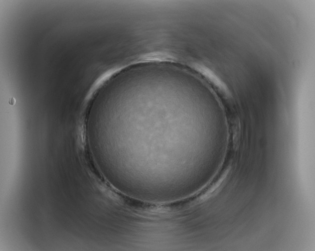 X0000114561358200910191423