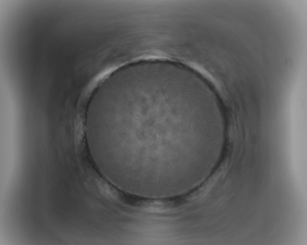 X0000114561359200910191423