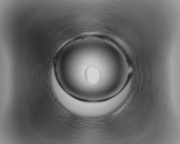 X0000114561361200910191423