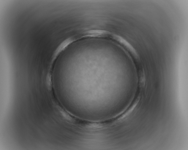 X0000114561362200910191423