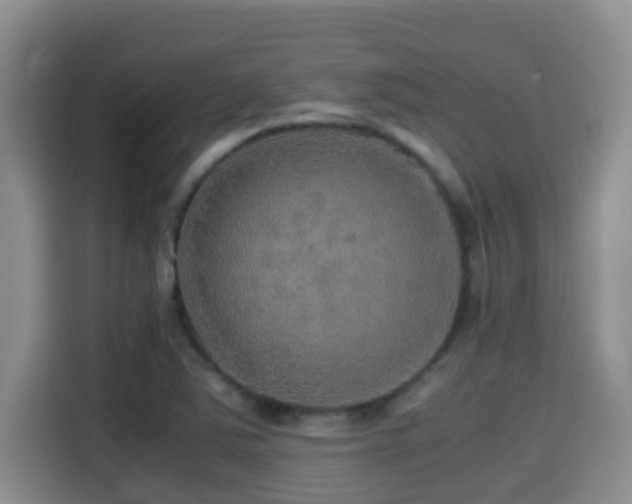 X0000114561363200910191423